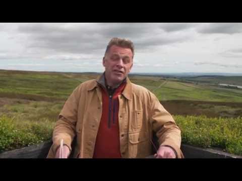 Don’t sell ‘toxic’ grouse Chris Packham tells major supermarkets