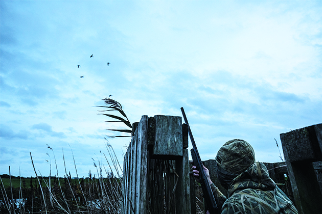 wildfowling with steel shot