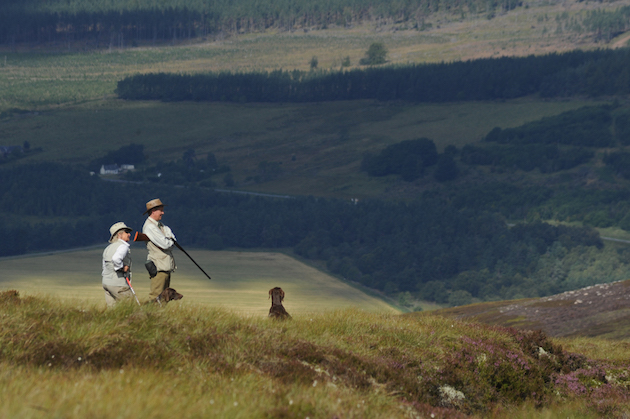 Grouse shooting in Scotland to be licensed