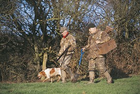 What&#8217;s the minimum number of ferrets for a day&#8217;s shooting?