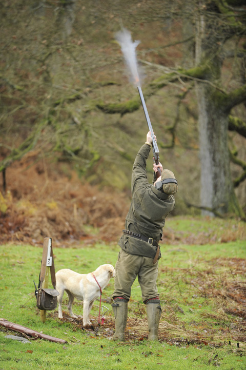 Game shooting: Why we do it