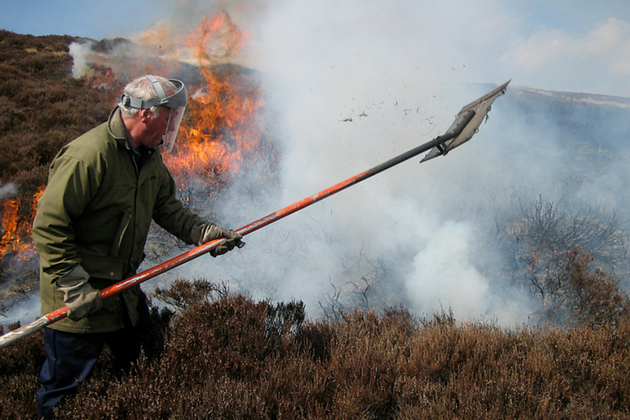 Heather burning at Langholm moor 