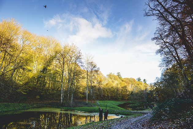 Vaynor Park 