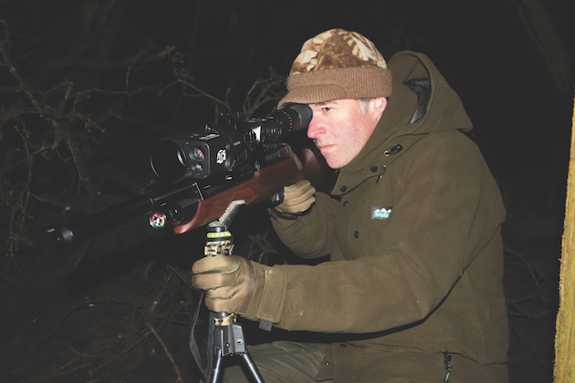 Airgunning rats at night