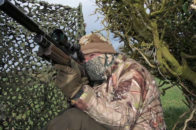 position your pigeon hide 