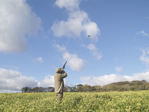 Shooting breaks at Hendra Barns, Cornwall