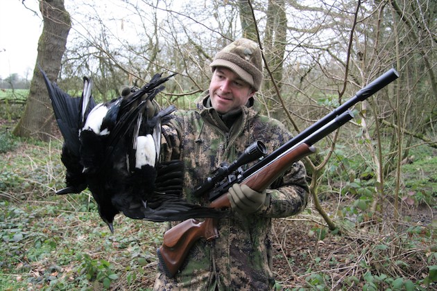 corvid control with an air rifle 