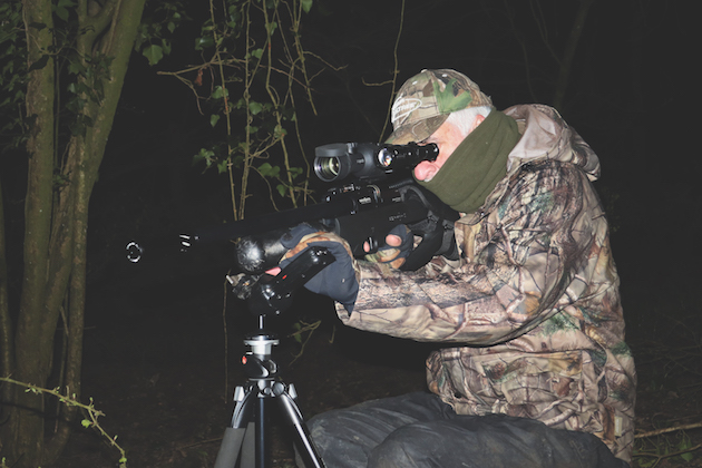 clearing rats from pheasant pen
