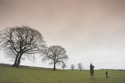Whitbourne estate: Game shooting in Herefordshire