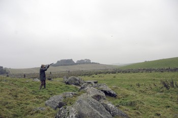 Game shooting in Brucklay, Aberdeenshire