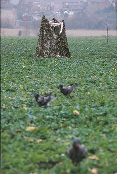 Can I build my hide in the middle of a field?