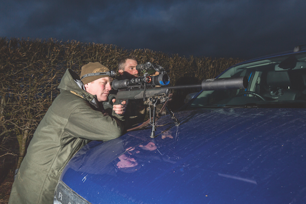 5 tips for lamping foxes