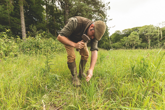 snares for fox control