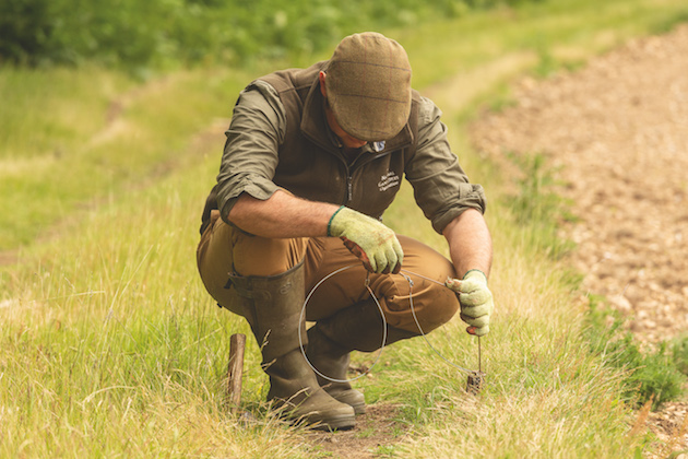 Welsh Government announces plan to ban snaring