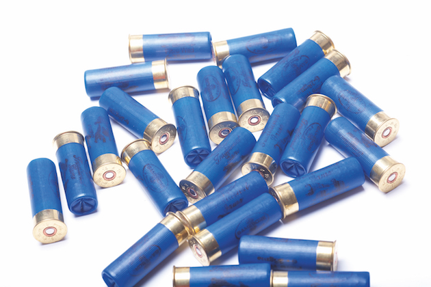 16-bore cartridges
