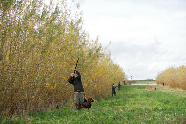 The best cover crops for the part-time keeper
