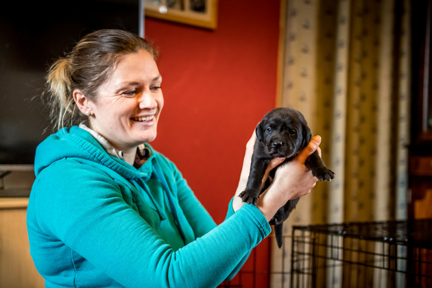 Puppy crate training