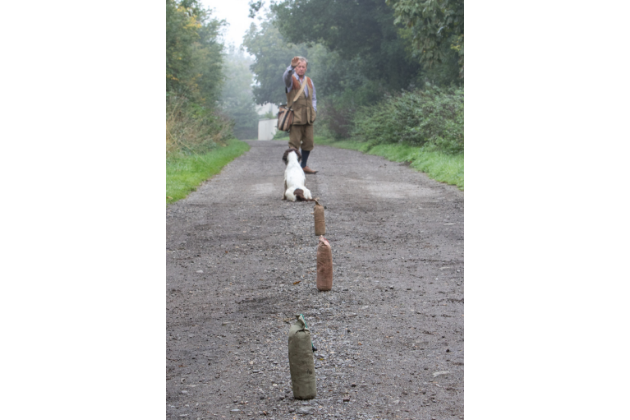 train a gundog to run straight