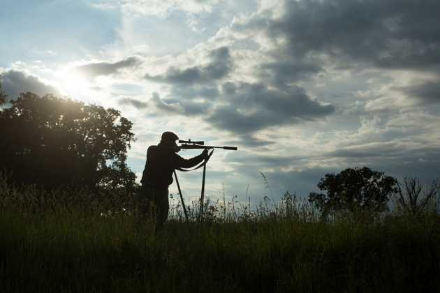 Stalking muntjac &#8211; a real sporting challenge
