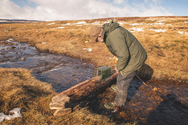 New laws on trapping &#8211; keepers must tread carefully