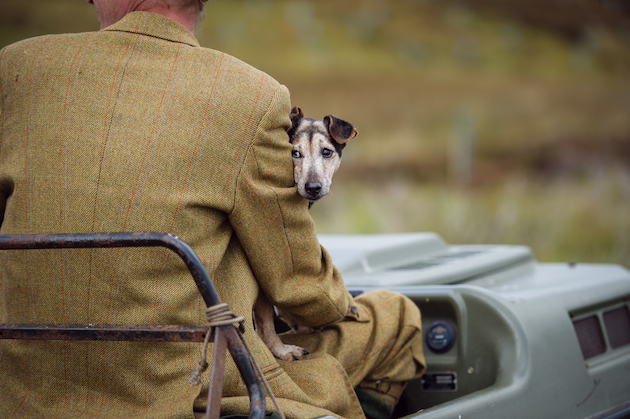 Jack Russell terrier on quad bike 