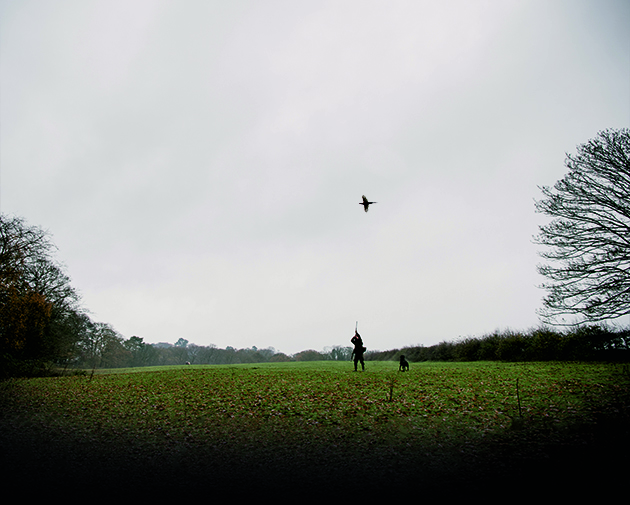 Here&#8217;s a driven shooting lesson to get you back in the field