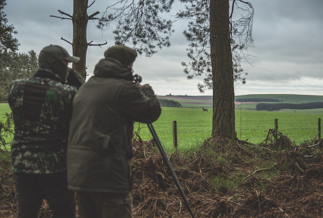 deer stalking