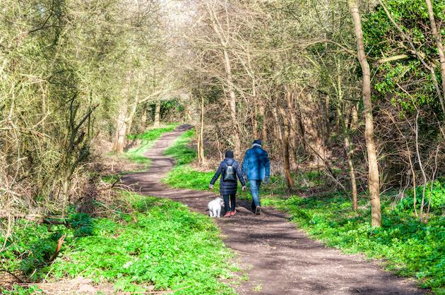 Deer stalkers and walkers &#8211; how to deal with potential confrontations