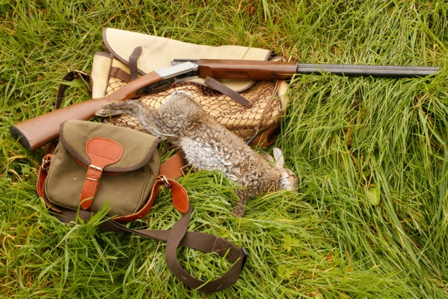 rough shooting