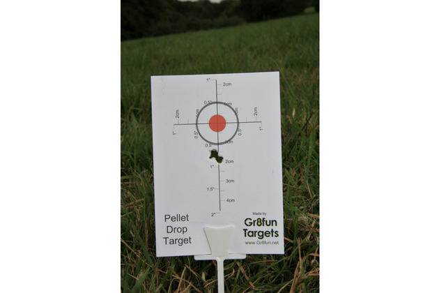 air gun target