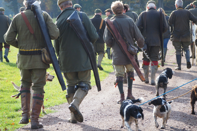 Guns and dogs off shooting