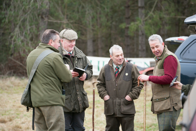 Cocker championship at Sandringham
