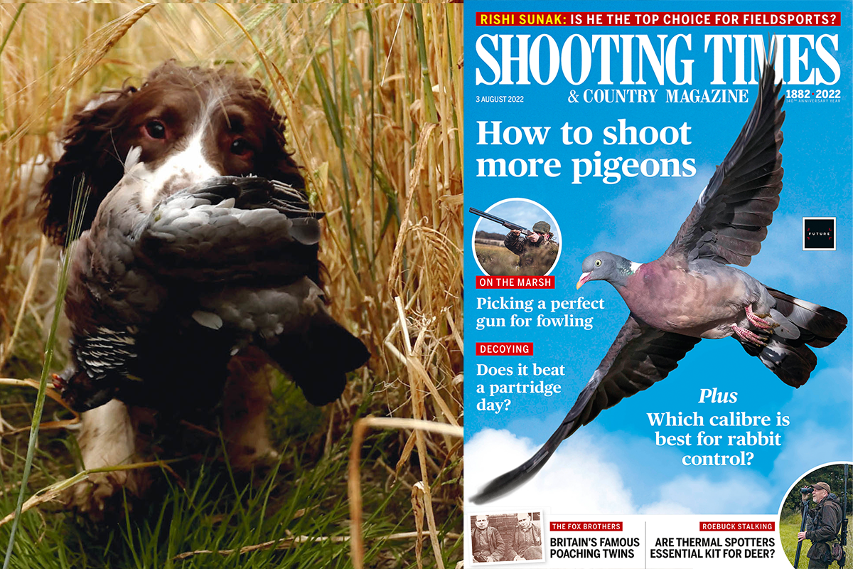 Shooting Times 3 August 2022