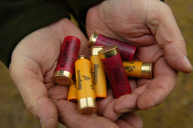 Should cartridge colour denote bore?