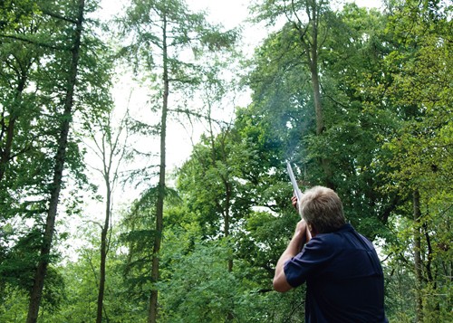 high pheasant shooting 