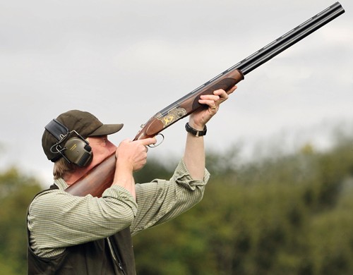 shooting high birds 