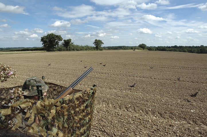 When pigeon shooting, I&#8217;m always breaking my hide poles!