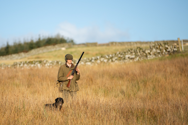 Want to increase snipe numbers? These habitat improvements make a significant difference