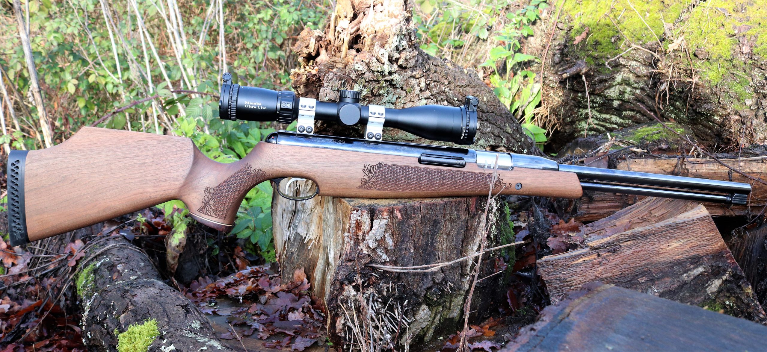 Springer airguns 