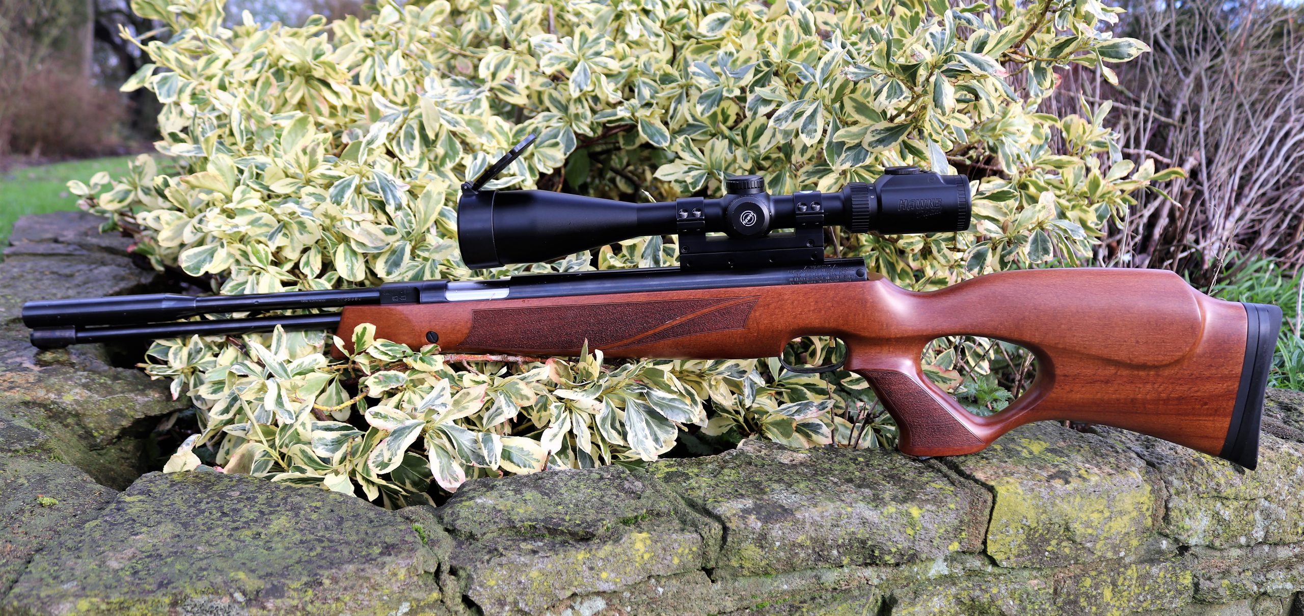 Springer airguns 