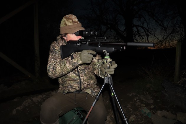 hunting rats