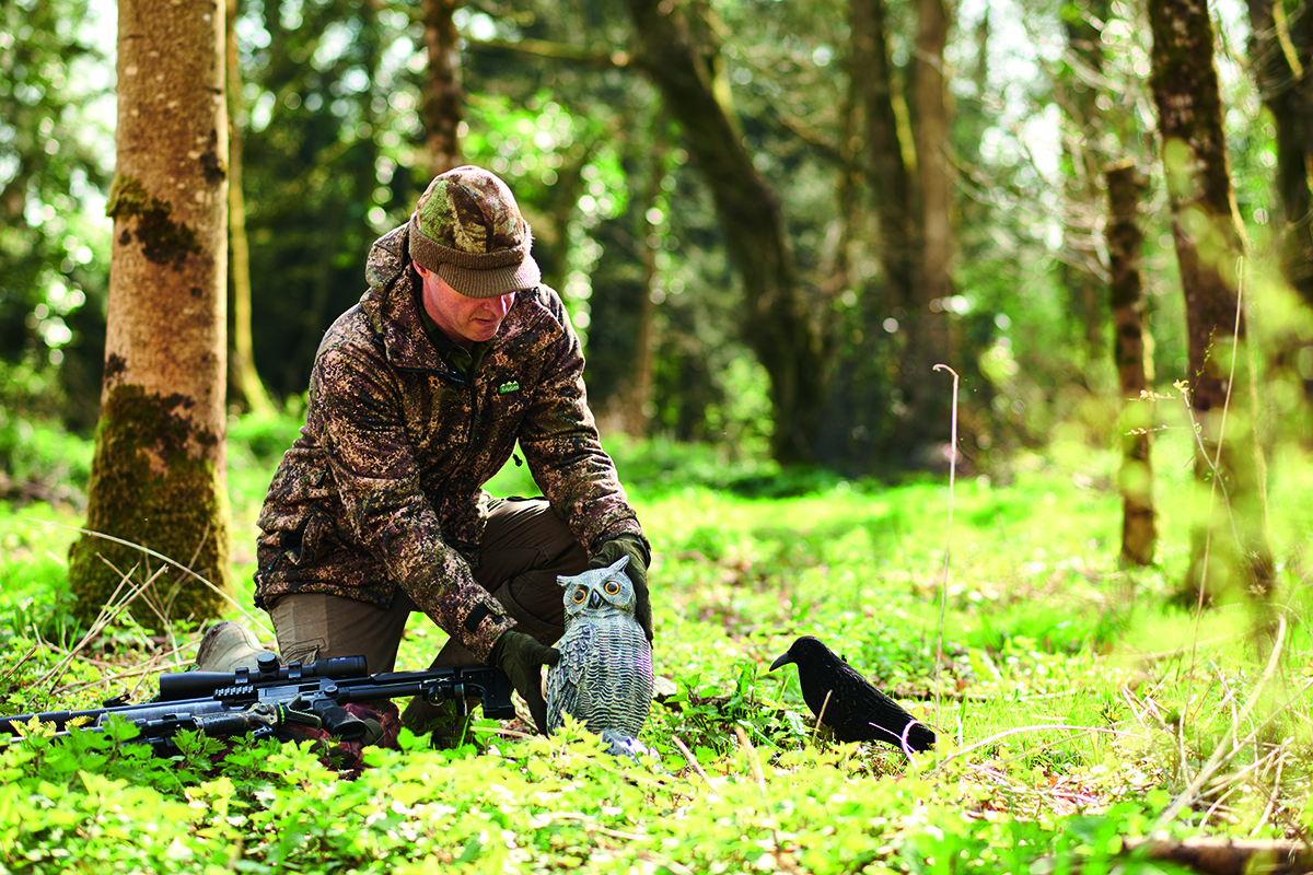 Controlling crows using decoys and hides