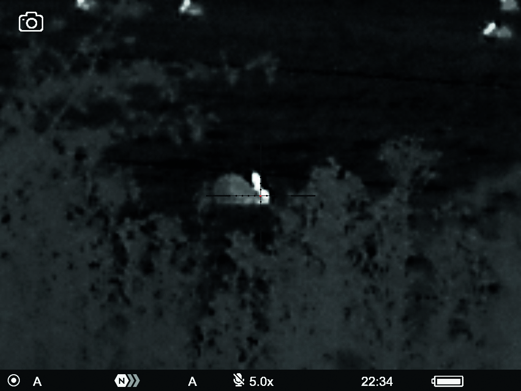 Thermal