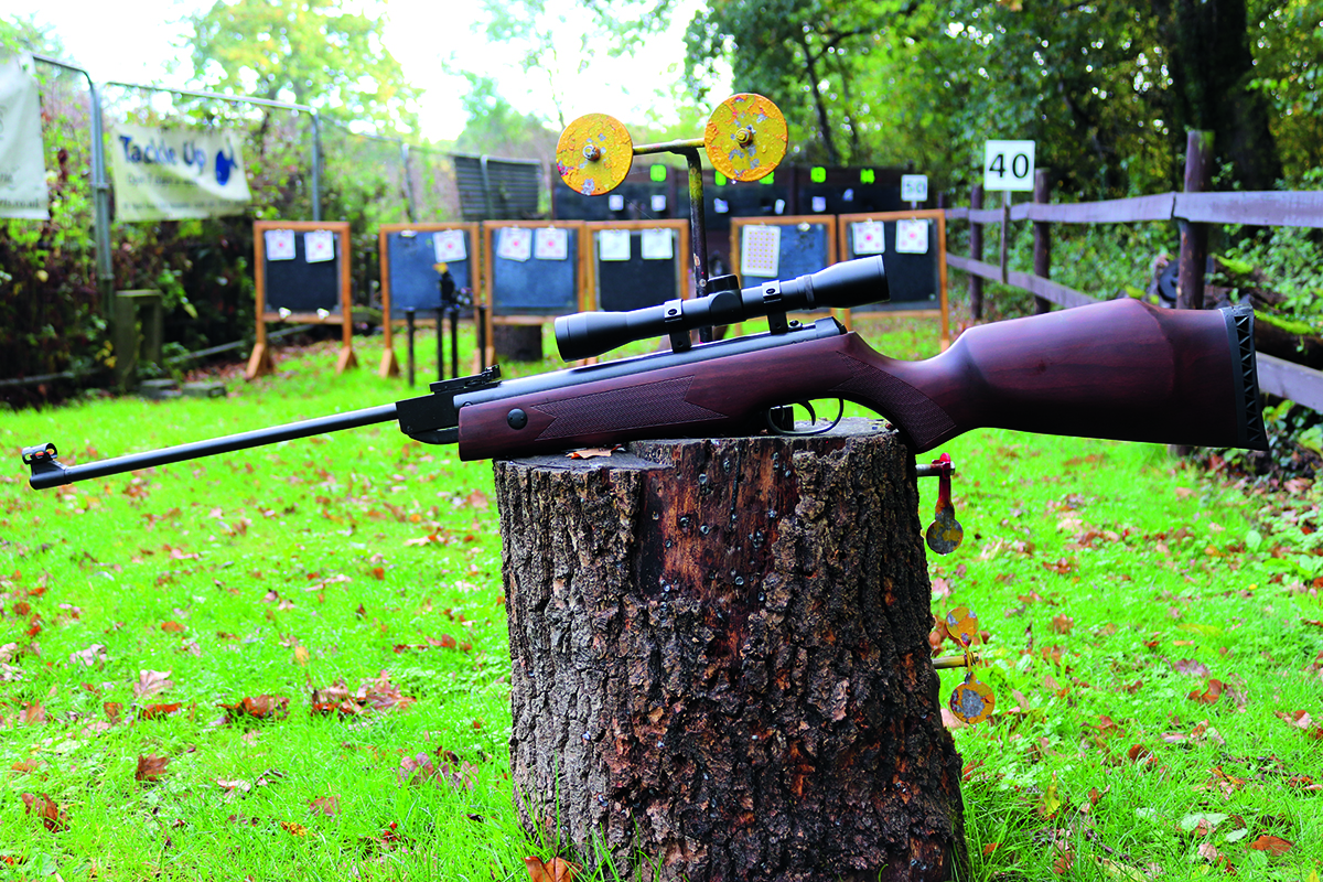 Mid-priced springer airguns
