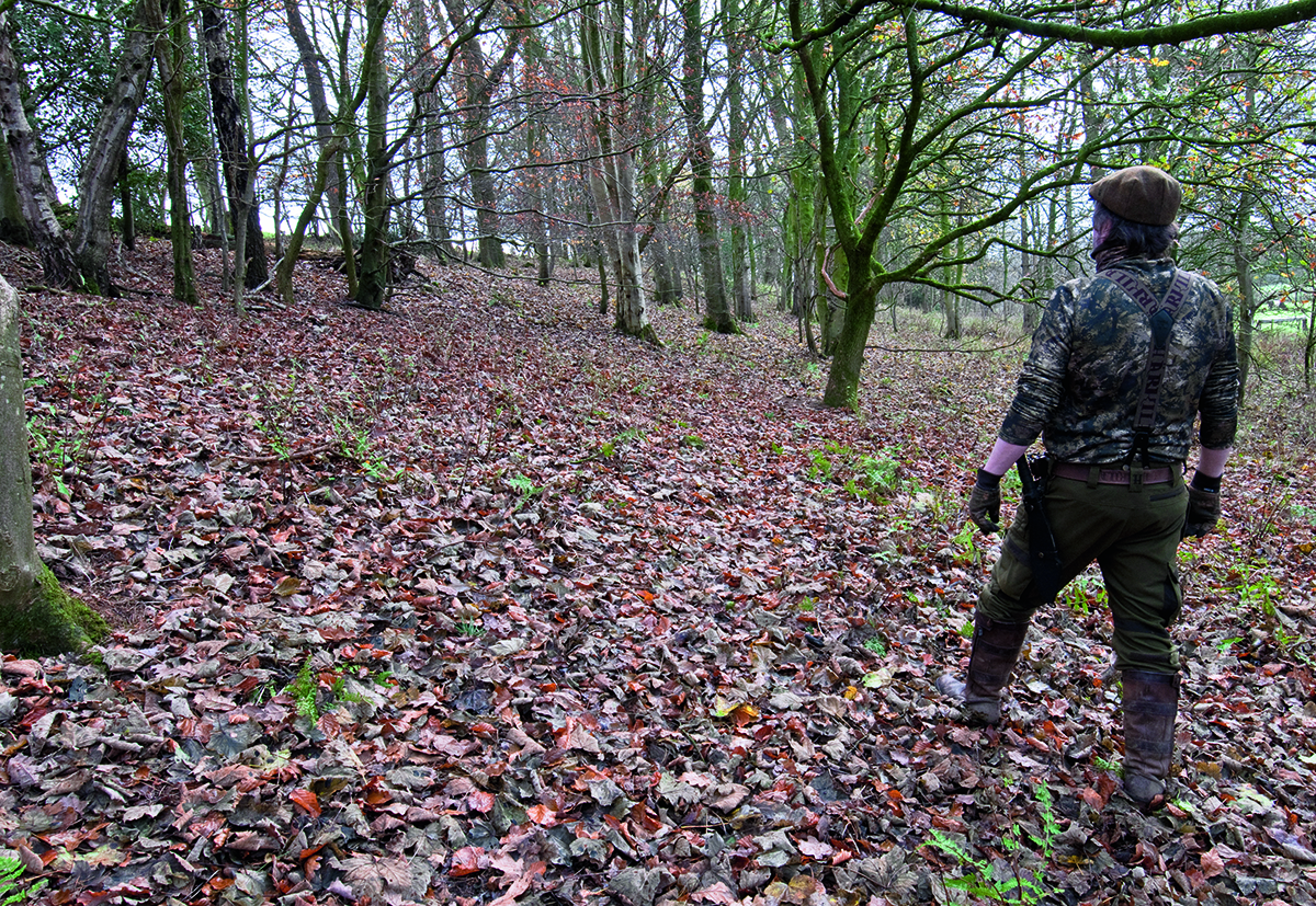 Grey squirrel feeder &#8211; how to set one up