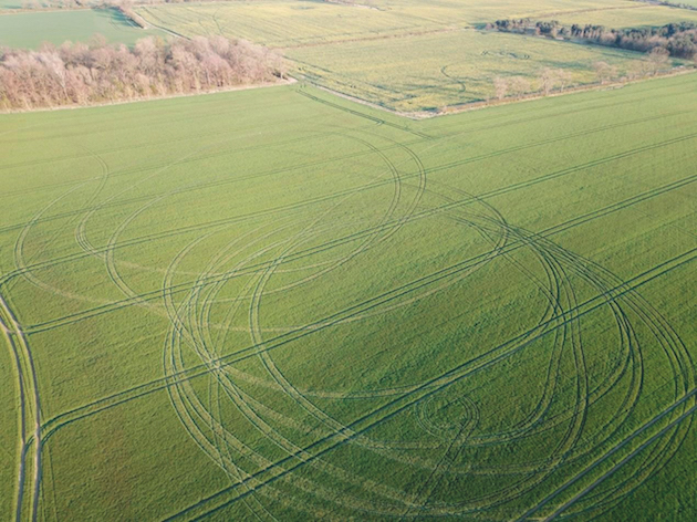 Damage to crops 