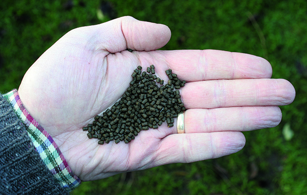 How to use an airgun for rat control