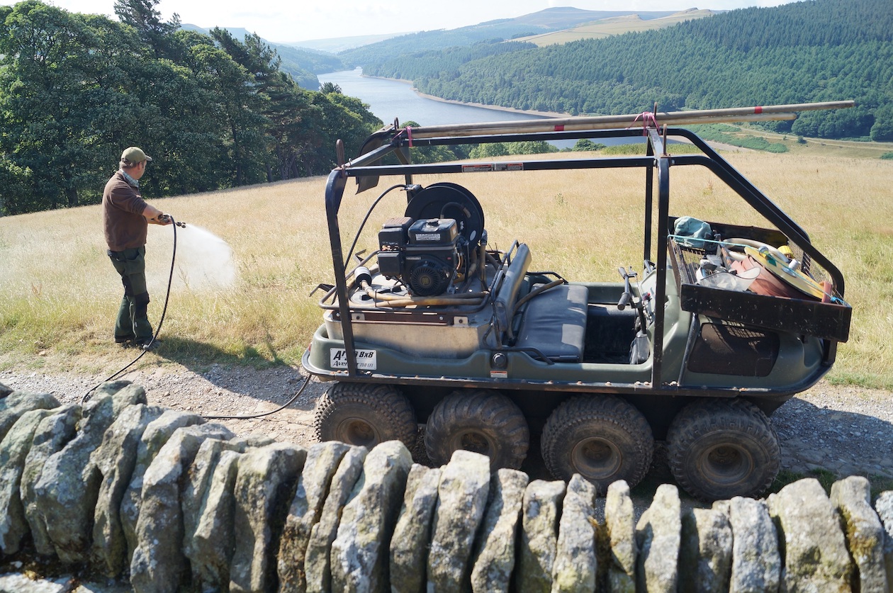 grouse moor management 