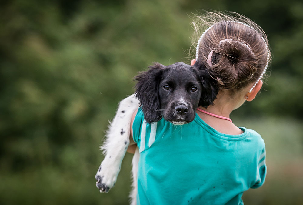 Andy Biggar dogs bond between dog and owner