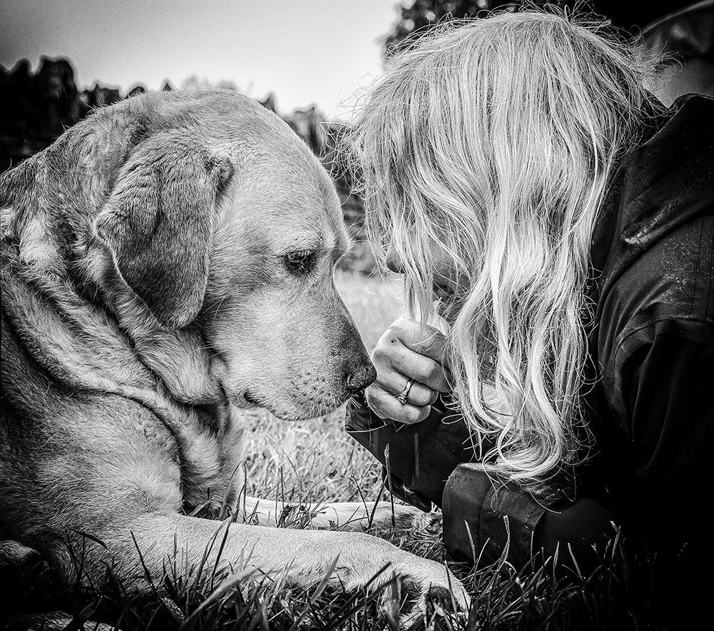 Andy Biggar dogs capture the bond